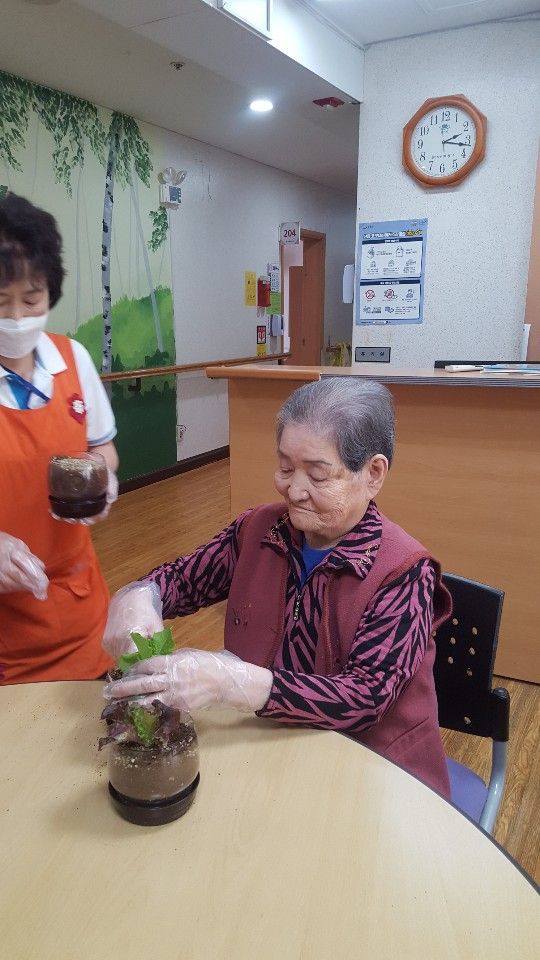 [2020년 4월 7일] 상추심기