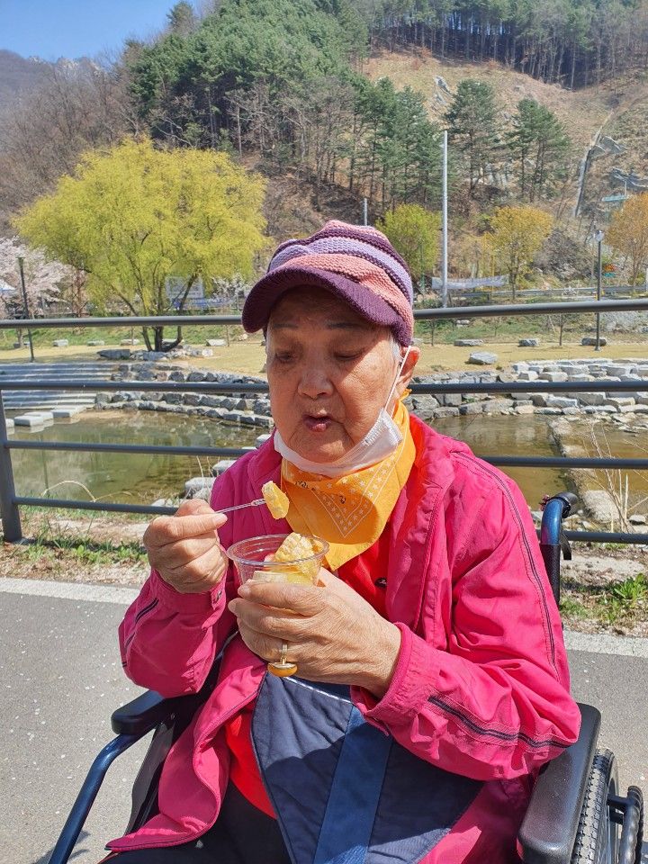 [2020년  4월 14일] 행복한 벚꽃 나들이 